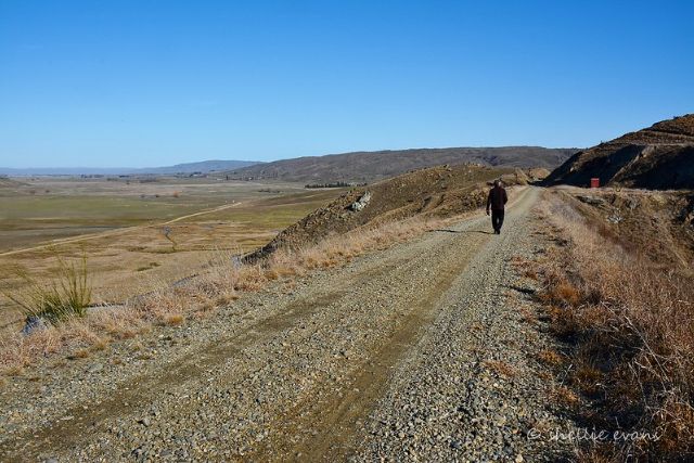 Otago Central Rail Trail